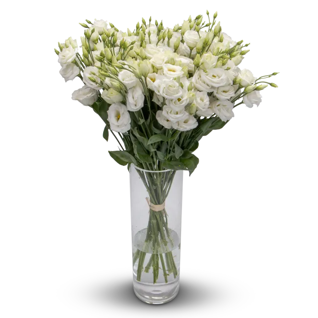 Lisianthus bouquet